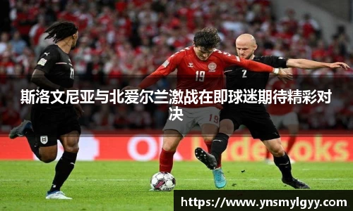 zoty中欧官方网站