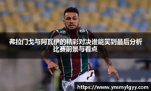 zoty中欧