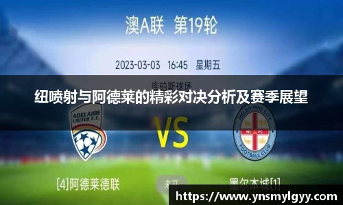 zoty中欧