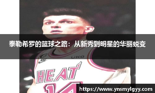 zoty中欧官方网站