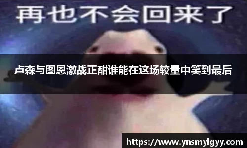zoty中欧官方app下载