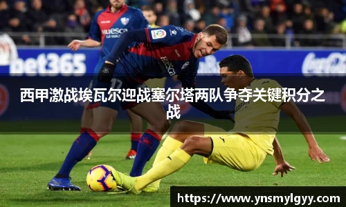 zoty中欧官方网站