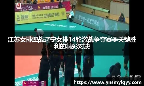zoty中欧