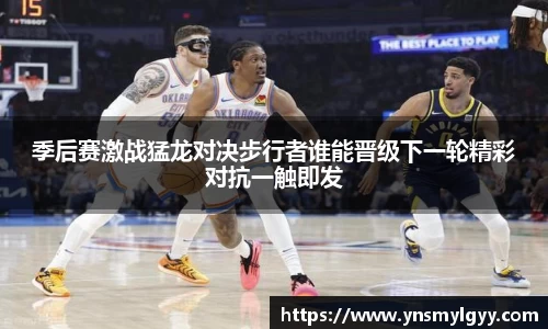 zoty中欧
