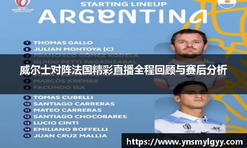 威尔士对阵法国精彩直播全程回顾与赛后分析