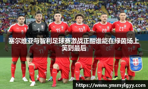 塞尔维亚与智利足球赛激战正酣谁能在绿茵场上笑到最后