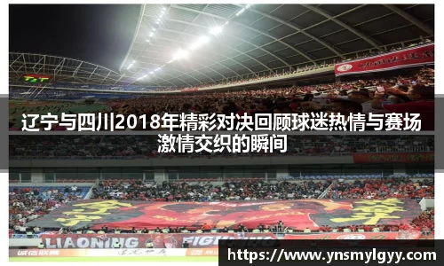 辽宁与四川2018年精彩对决回顾球迷热情与赛场激情交织的瞬间