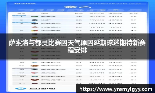 萨索洛与都灵比赛因天气原因延期球迷期待新赛程安排